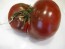 Tomato 'Black Russian'