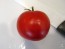 Tomato 'Manitoba'