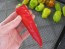 Hot Pepper ‘Cyklon' Seeds (Certified Organic)