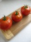 Tomato 'Grosse Lisse' 