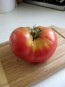 Tomato 'Aunt Lou's Underground Railroad' 