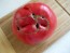 Tomato 'Aunt Lou's Underground Railroad' Seeds (Certified Organic)