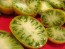 Tomato 'Cherokee Green'