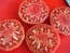 Tomato 'Flathead Monster Pink' Seeds (Certified Organic)