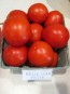 Tomato 'Bellestar'