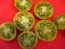 Tomato 'Green Zebra Cherry' Seeds (Certified Organic)