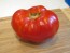 Tomato 'Pantano Romanesco'