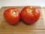 Tomato 'Abraham Lincoln'