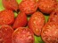 Tomato 'Pink Honey' AKA 'Rozovyi Myod' Plant