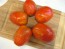 Tomato 'Plum Tigris'