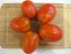 Tomato 'Plum Tigris'