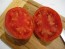 Tomato 'Pete's Italian Paste' 