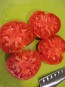 Tomato 'Aunt Lou's Underground Railroad' Seeds (Certified Organic)
