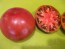 Tomato 'Vorlon' 