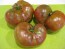 Tomato 'BKX' AKA 'Black Krim Potato Leaf' 