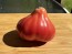 Tomato 'Pear Pink' Seeds (Certified Organic)
