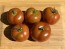 Dwarf Tomato 'Bundaberg Rumball' Seeds (Certified Organic)