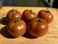 Dwarf Tomato 'Bundaberg Rumball' Seeds (Certified Organic)