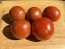 Dwarf Tomato 'Bundaberg Rumball' Seeds (Certified Organic)