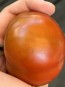Dwarf Tomato 'Bundaberg Rumball' Seeds (Certified Organic)