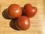 Dwarf Tomato 'Kangaroo Paw Brown' Seeds (Certified Organic)
