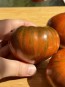 Tomato 'Uptown Funk' Seeds (Certified Organic)