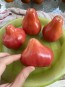 Tomato 'Pear Pink' Seeds (Certified Organic)