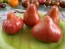 Tomato 'Pear Pink' Seeds (Certified Organic)