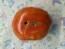 Tomato 'Beefmaster F2' Seeds (Certified Organic)