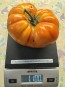 Tomato 'Beefmaster F2' Seeds (Certified Organic)