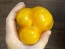 Bell Pepper 'Golden California Wonder' Seeds (Certified Organic) 