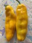 Pepper 'Super Sweet Giant Yellow' Seeds (Certified Organic)