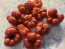 Tomato 'Ceylon' Seeds (Certified Organic)