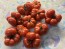 Tomato 'Ceylon' Seeds (Certified Organic)