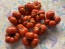 Tomato 'Ceylon' Seeds (Certified Organic)