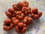 Tomato 'Ceylon' Seeds (Certified Organic)