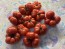 Tomato 'Ceylon' Seeds (Certified Organic)