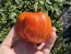 Tomato 'Striped Cavern' Seeds (Certified Organic)