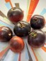 Tomato 'Black Strawberry' Seeds (Certified Organic)