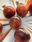 Tomato 'Black Strawberry' Seeds (Certified Organic)