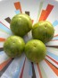 Tomato 'Green Vernissage' Seeds (Certified Organic) 