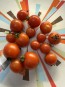 Tomato 'Sakura F2' Seeds (Certified Organic)