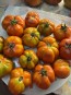 Tomato 'Striped Cavern' Seeds (Certified Organic)