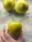 Tomato 'Winter Heart' Seeds (Certified Organic)