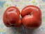 Dwarf Tomato 'Strawberry Lemonade' Seeds (Certified Organic)