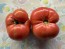 Dwarf Tomato 'Strawberry Lemonade' Seeds (Certified Organic)