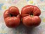 Dwarf Tomato 'Strawberry Lemonade' Seeds (Certified Organic)