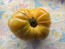Tomato 'Azoychka' Seeds (Certified Organic)