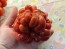 Tomato 'Reisetomate' Seeds (Certified Organic) 