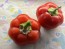 Sweet Pepper 'Pritamin Paprika' Seeds (Certified Organic)